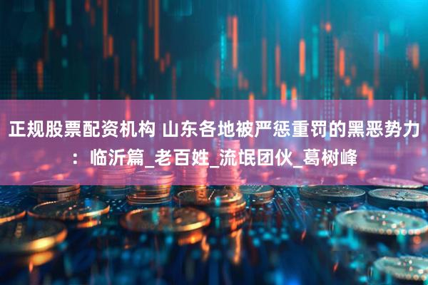 正规股票配资机构 山东各地被严惩重罚的黑恶势力：临沂篇_老百姓_流氓团伙_葛树峰