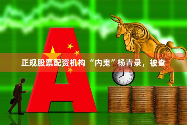 正规股票配资机构 “内鬼”杨青录，被查